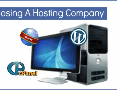 Important Things To Look For When Choosing A Website or Blog Hosting Company