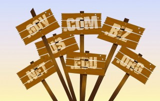 Domain Name