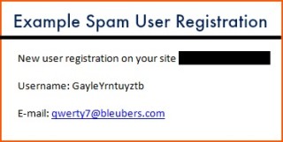 stop spam registration wordpress
